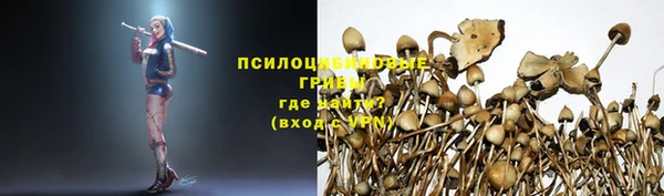 дурь Кукмор