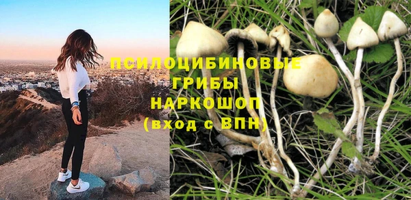 не бодяженный Кулебаки