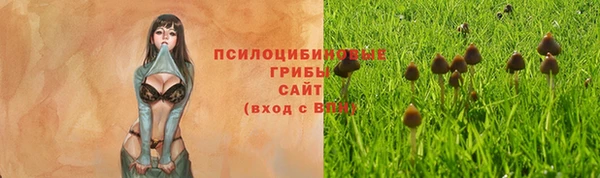 не бодяженный Кулебаки