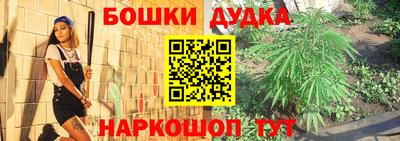 гашик Берёзовский