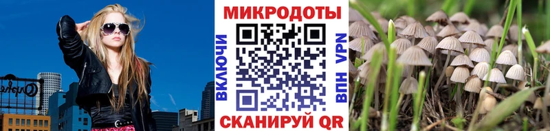 Псилоцибиновые грибы GOLDEN TEACHER  Мариинск 