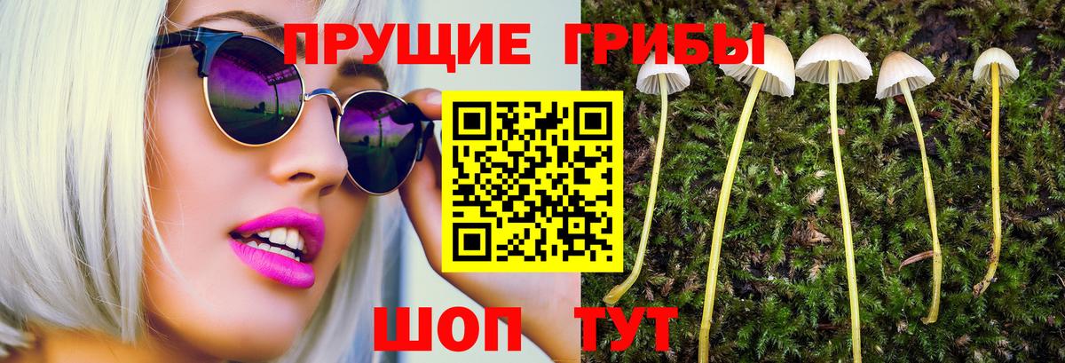 A-PVP Мариинск