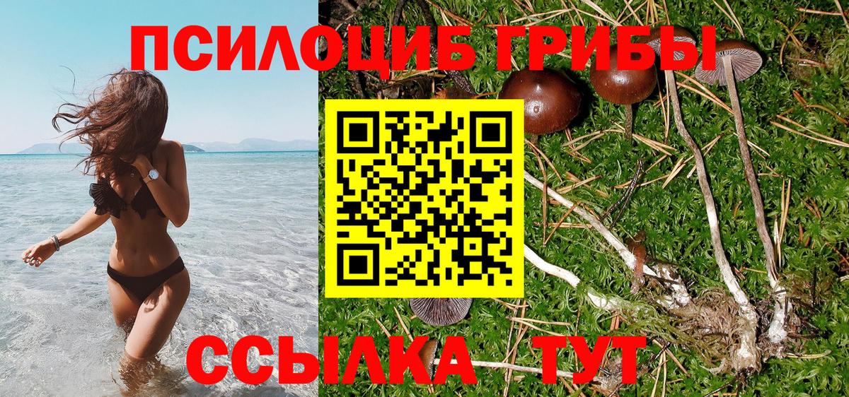 Мариинск  Галлюциногенные грибы мицелий  Вход с VPN 