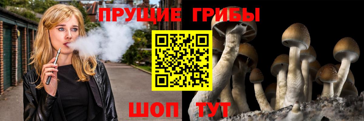 Псилоцибиновые грибы Cubensis Мариинск